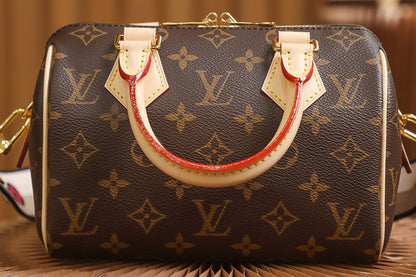 Louis Vuitton bag