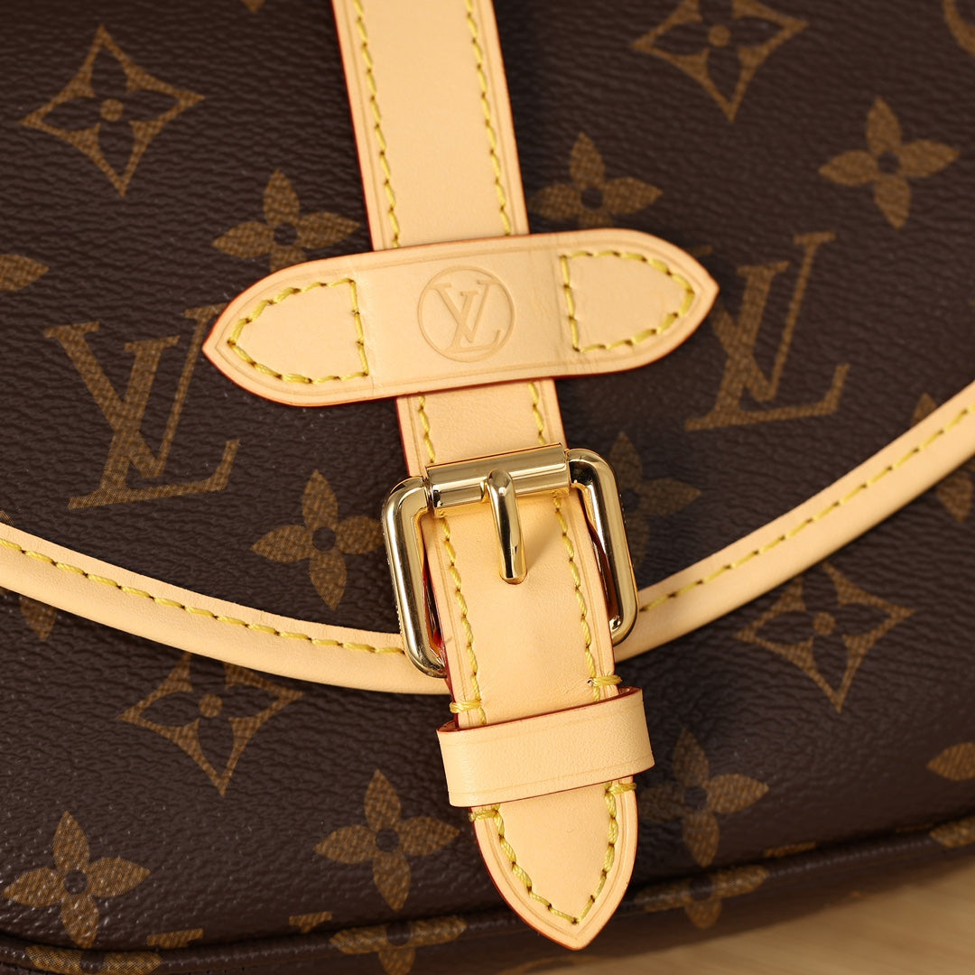 Louis Vuitton bag