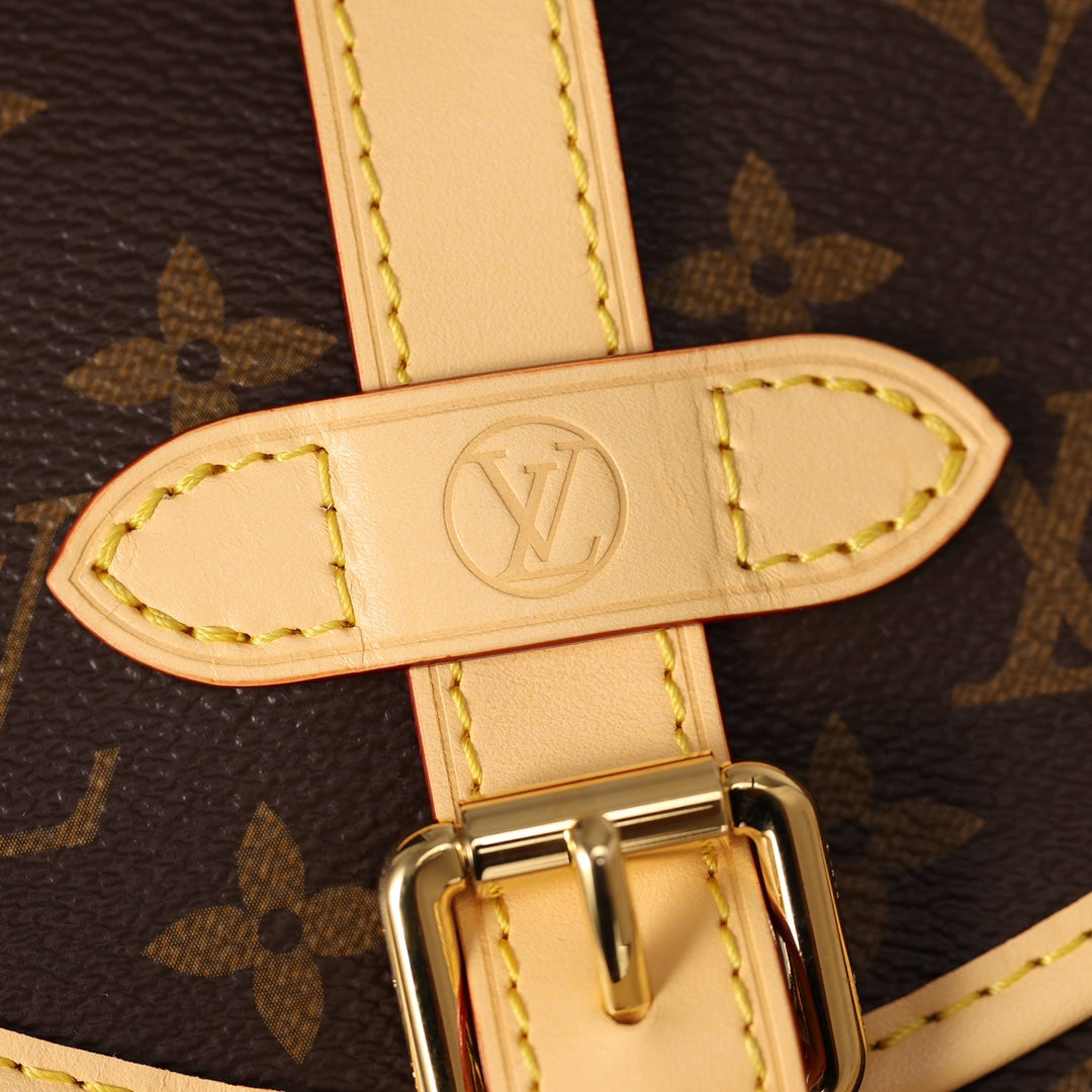 Louis Vuitton bag