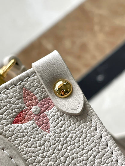 Louis Vuitton bag